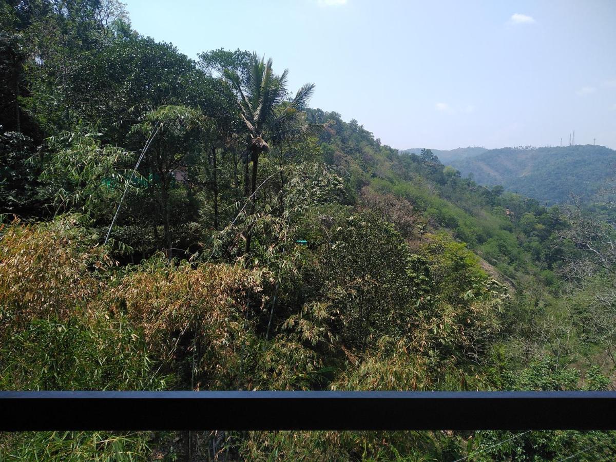 Spring And Valley View Thekkady Buitenkant foto