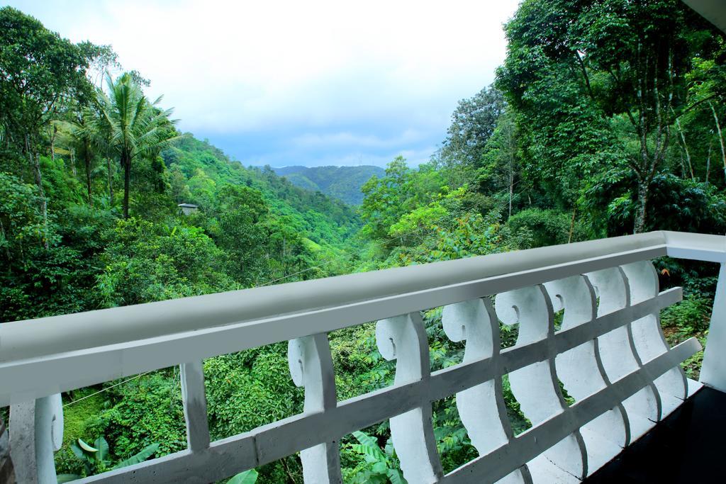 Spring And Valley View Thekkady Kamer foto