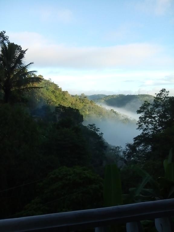 Spring And Valley View Thekkady Buitenkant foto